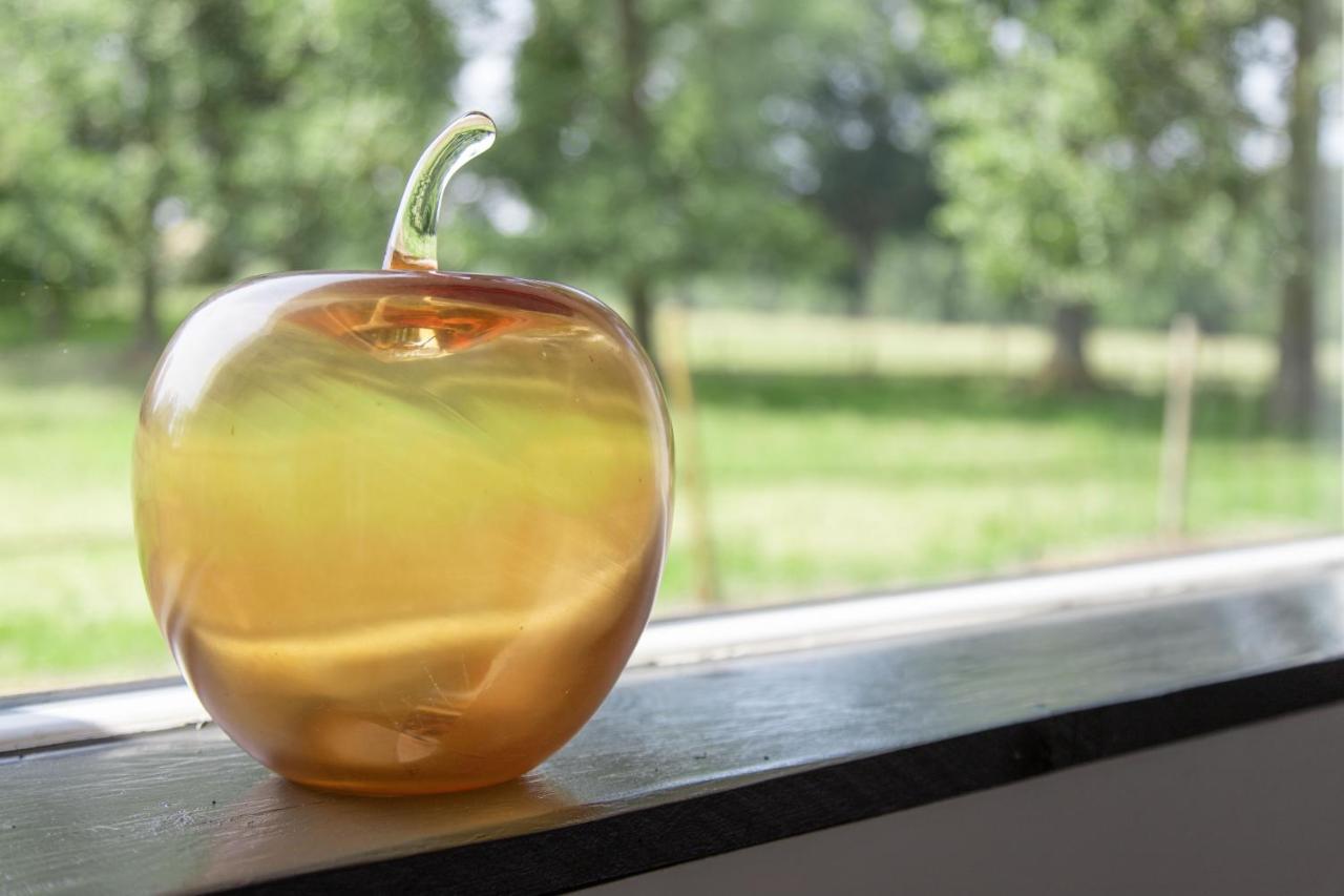 Maisnieres La Pomme Petillante المظهر الخارجي الصورة